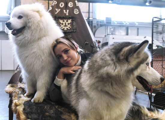 Выставка "Зоомир" в Красноярске