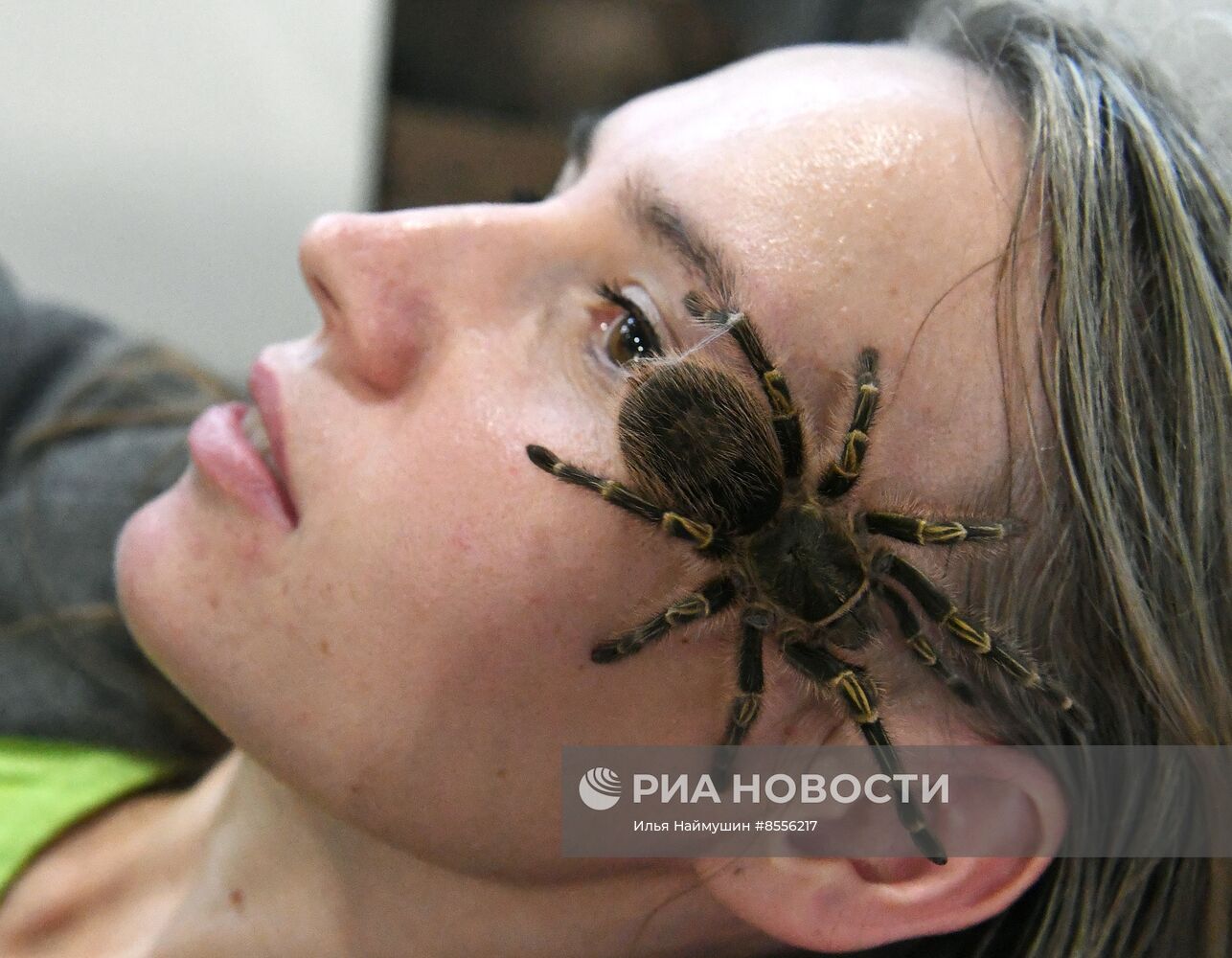 Выставка "Зоомир" в Красноярске