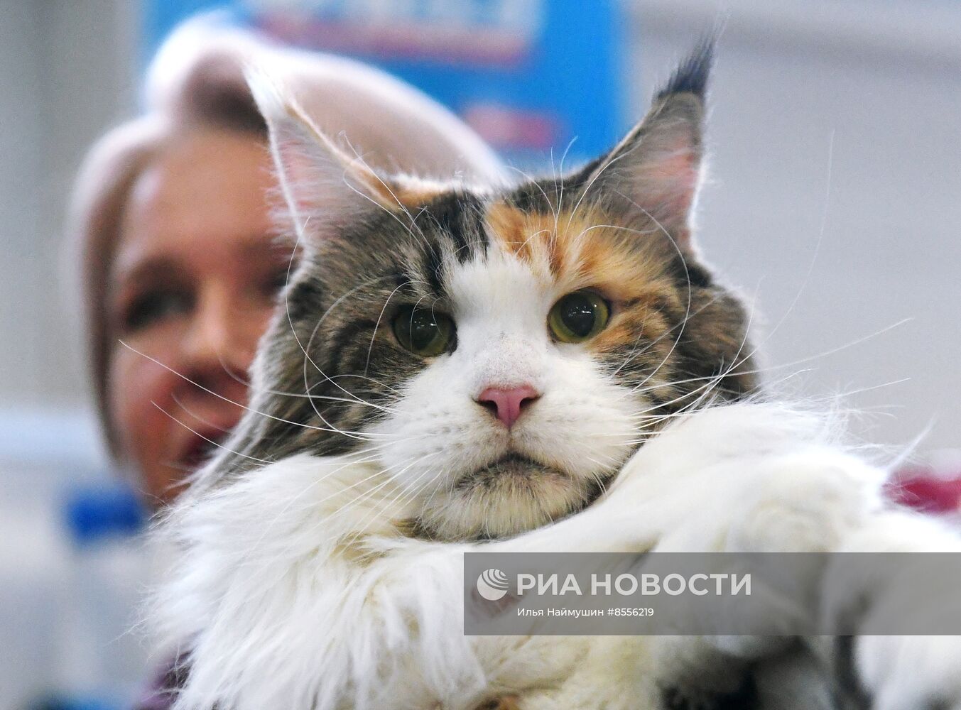 Выставка "Зоомир" в Красноярске