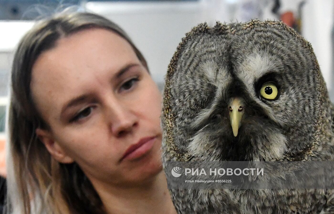 Выставка "Зоомир" в Красноярске