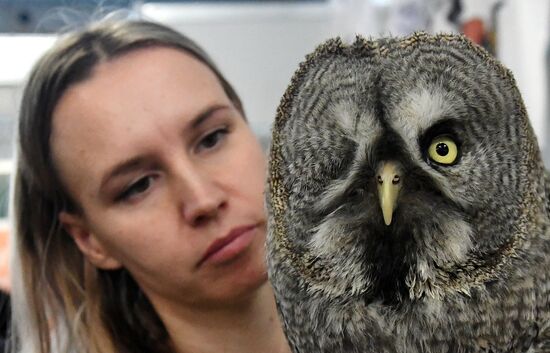 Выставка "Зоомир" в Красноярске