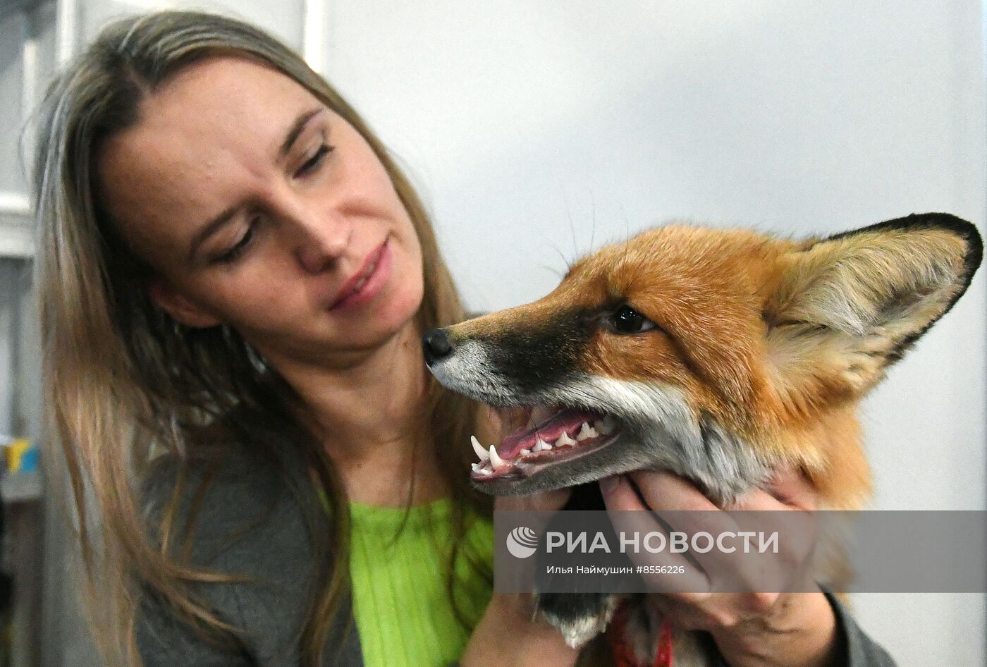 Выставка "Зоомир" в Красноярске