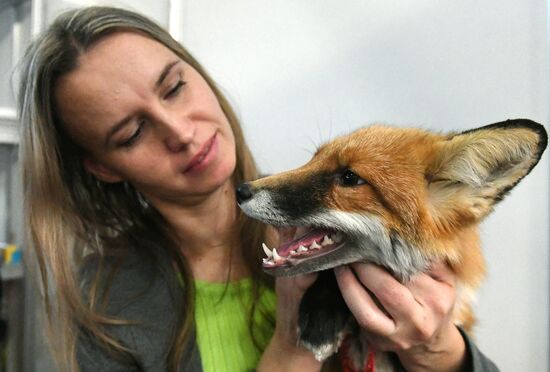 Выставка "Зоомир" в Красноярске