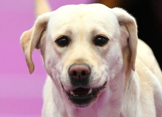 Выставка "Зоомир" в Красноярске