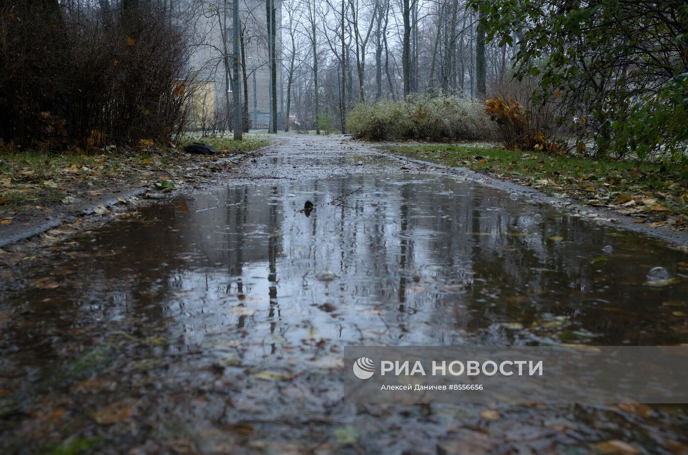 Дождь в Выборгском районе Санкт-Петербурга