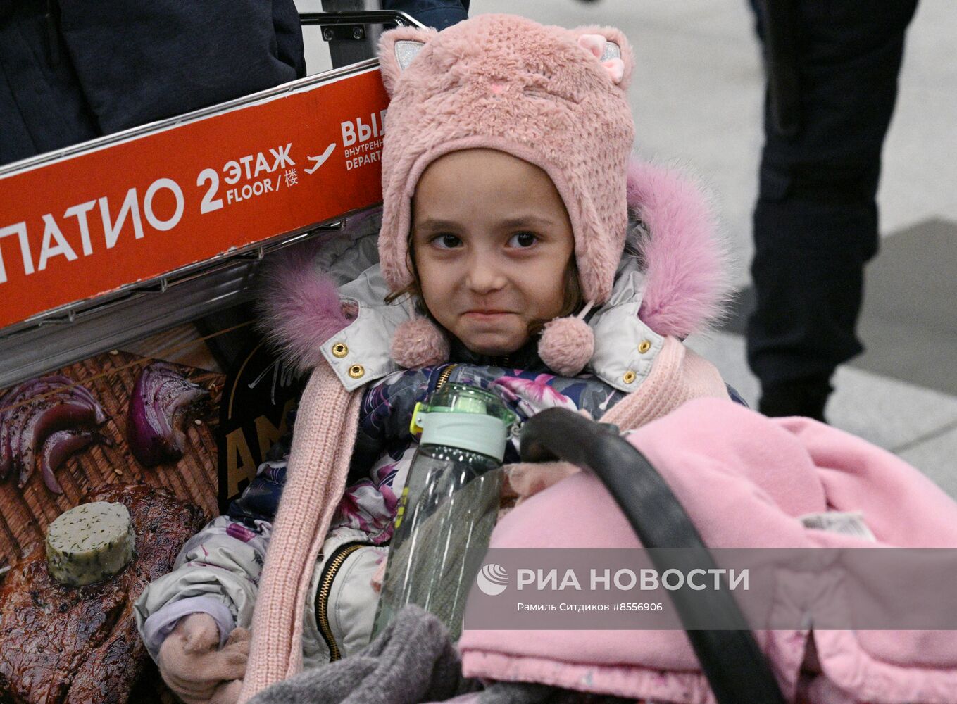 Прилет эвакуированных граждан РФ из сектора Газа в Москву