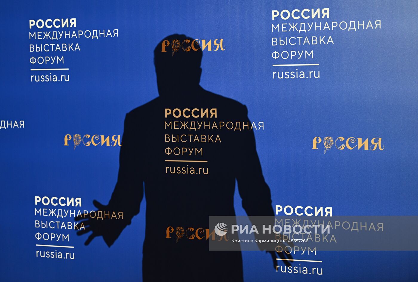 Работа выставки "Россия"