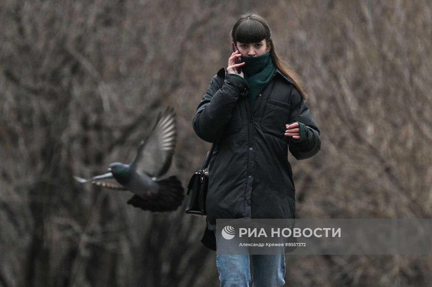 Поздняя осень в Новосибирске