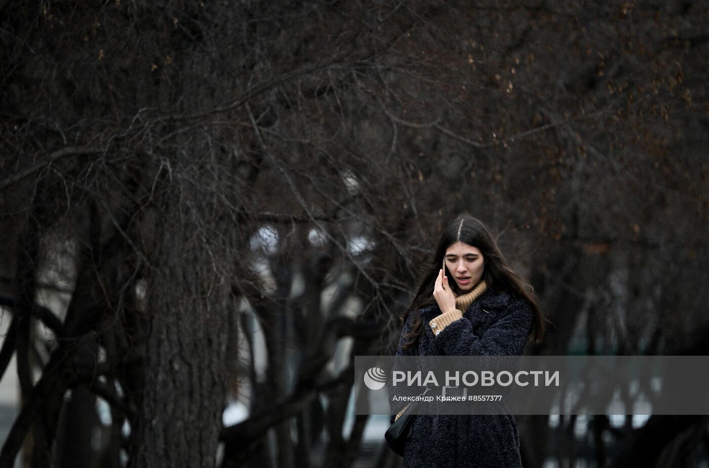 Поздняя осень в Новосибирске