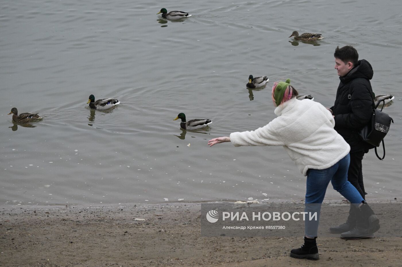 Поздняя осень в Новосибирске