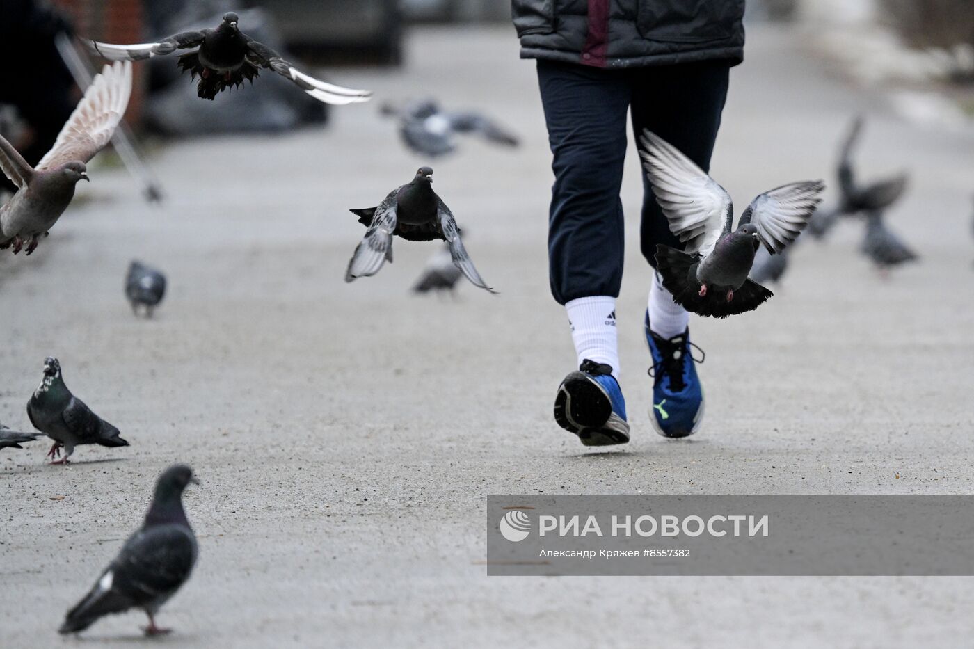 Поздняя осень в Новосибирске