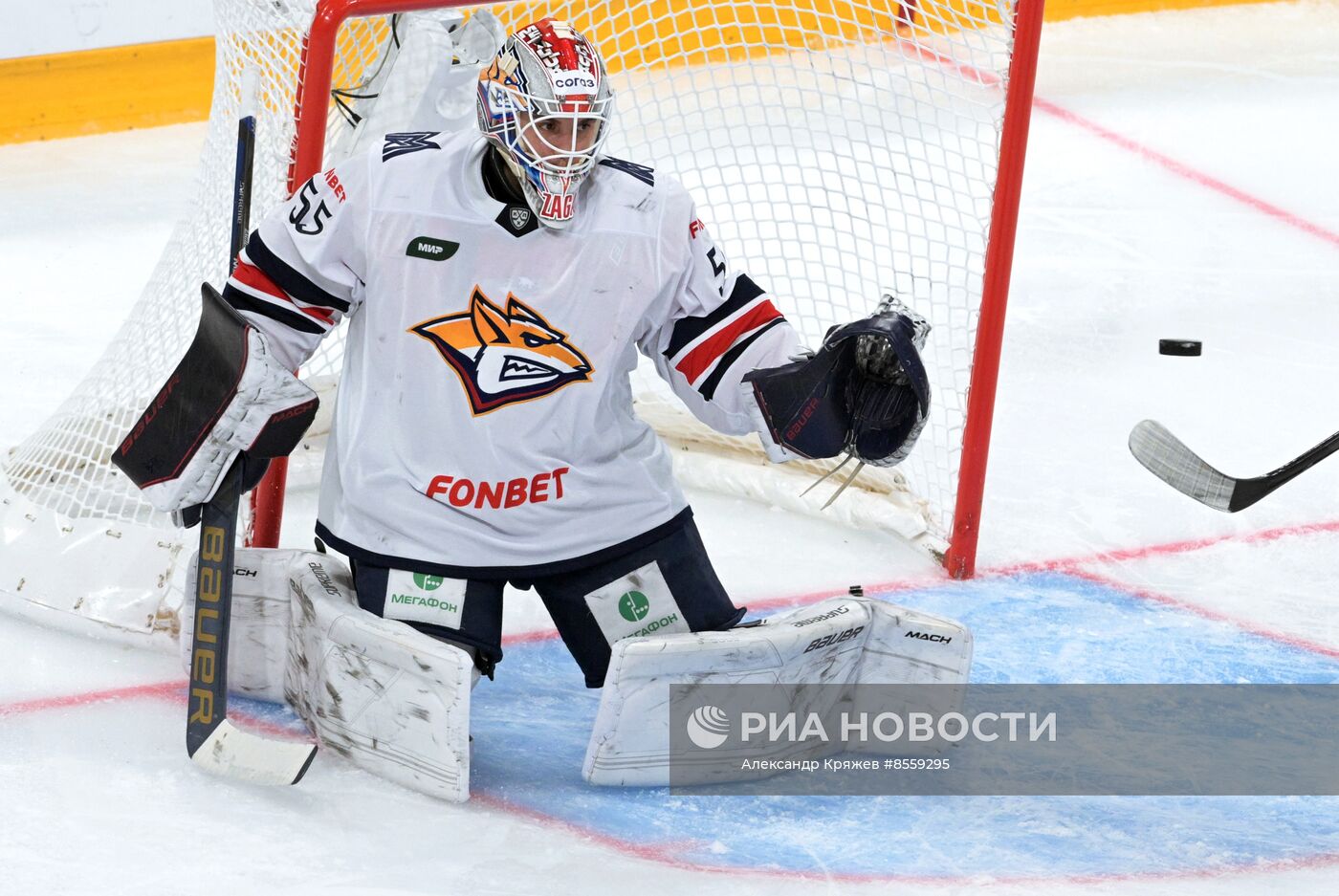 Хоккей. КХЛ. Матч "Сибирь" - "Металлург"