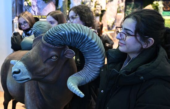 Работа выставки "Россия"