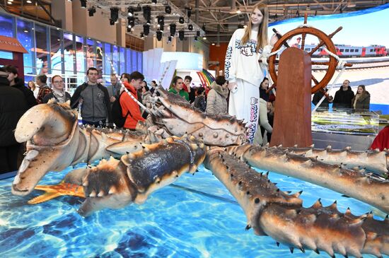 Международная выставка-форум "Россия" Место: Россия, Москва. Автор: Илья Питалев/РИА Новости. Работа выставки "Россия"