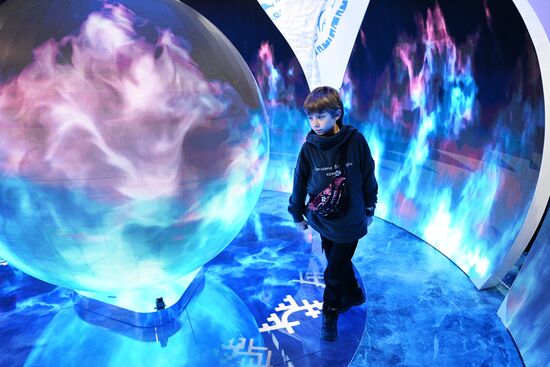 Международная выставка-форум "Россия" Место: Россия, Москва. Автор: Илья Питалев/РИА Новости. Работа выставки "Россия"