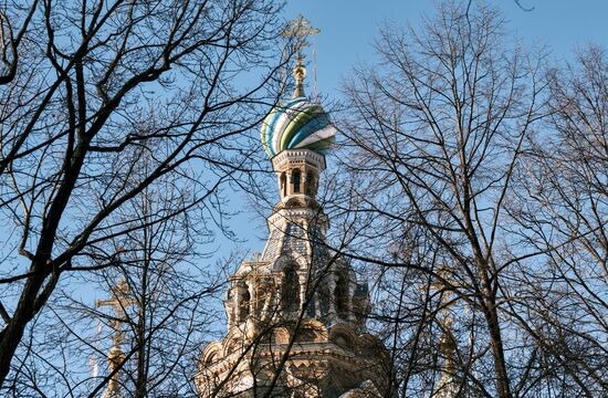 Виды зимнего Петербурга