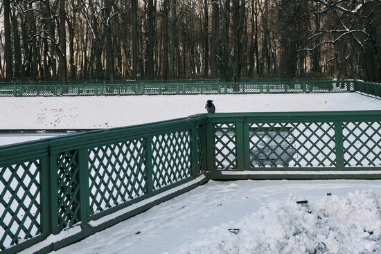 Виды зимнего Петербурга