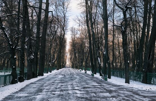 Виды зимнего Петербурга