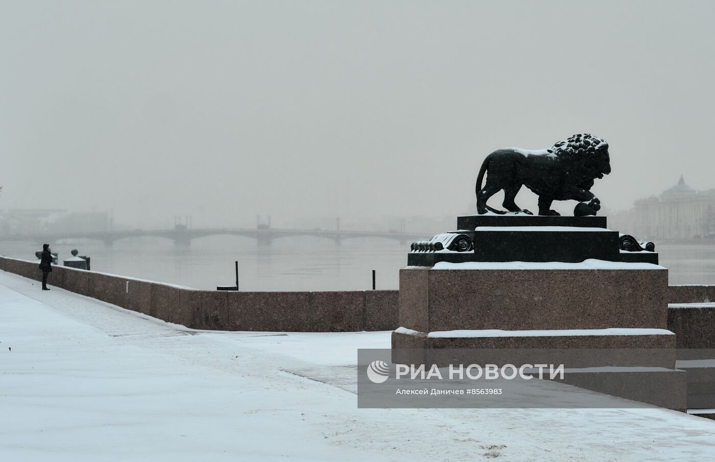 Виды зимнего Петербурга