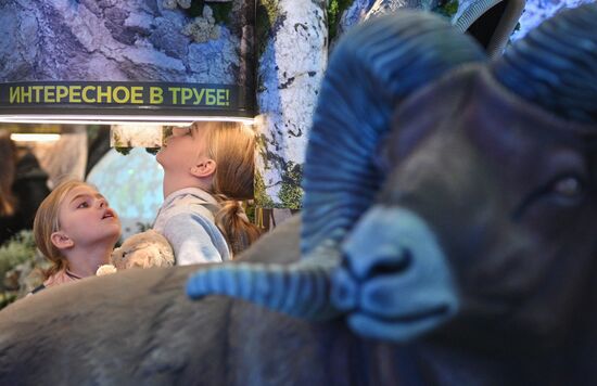 Работа выставки "Россия"