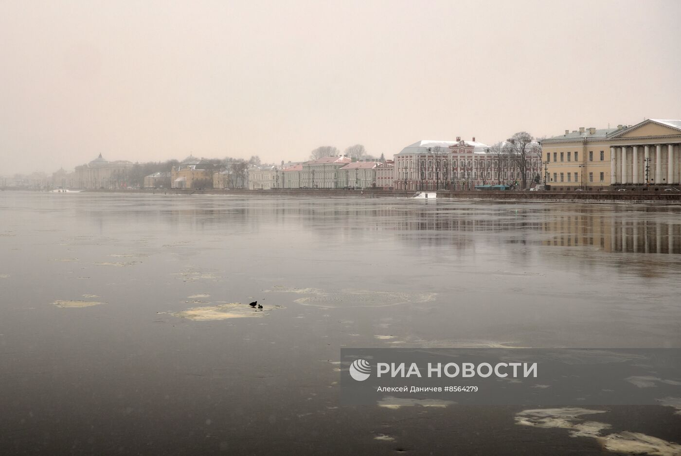 Виды зимнего Петербурга