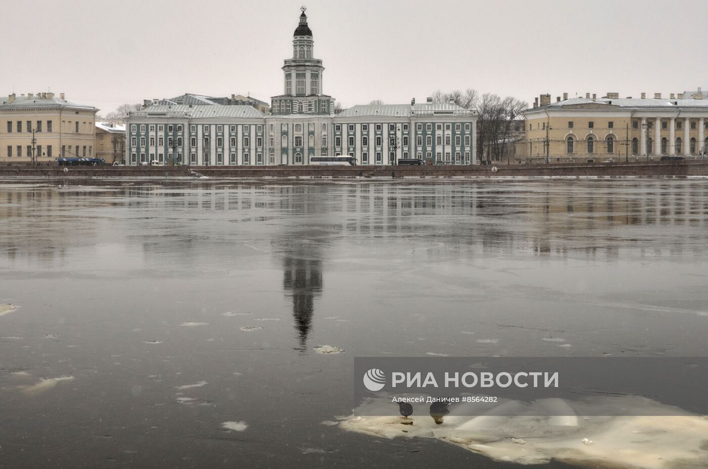 Виды зимнего Петербурга