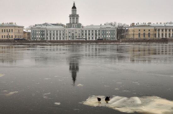 Виды зимнего Петербурга