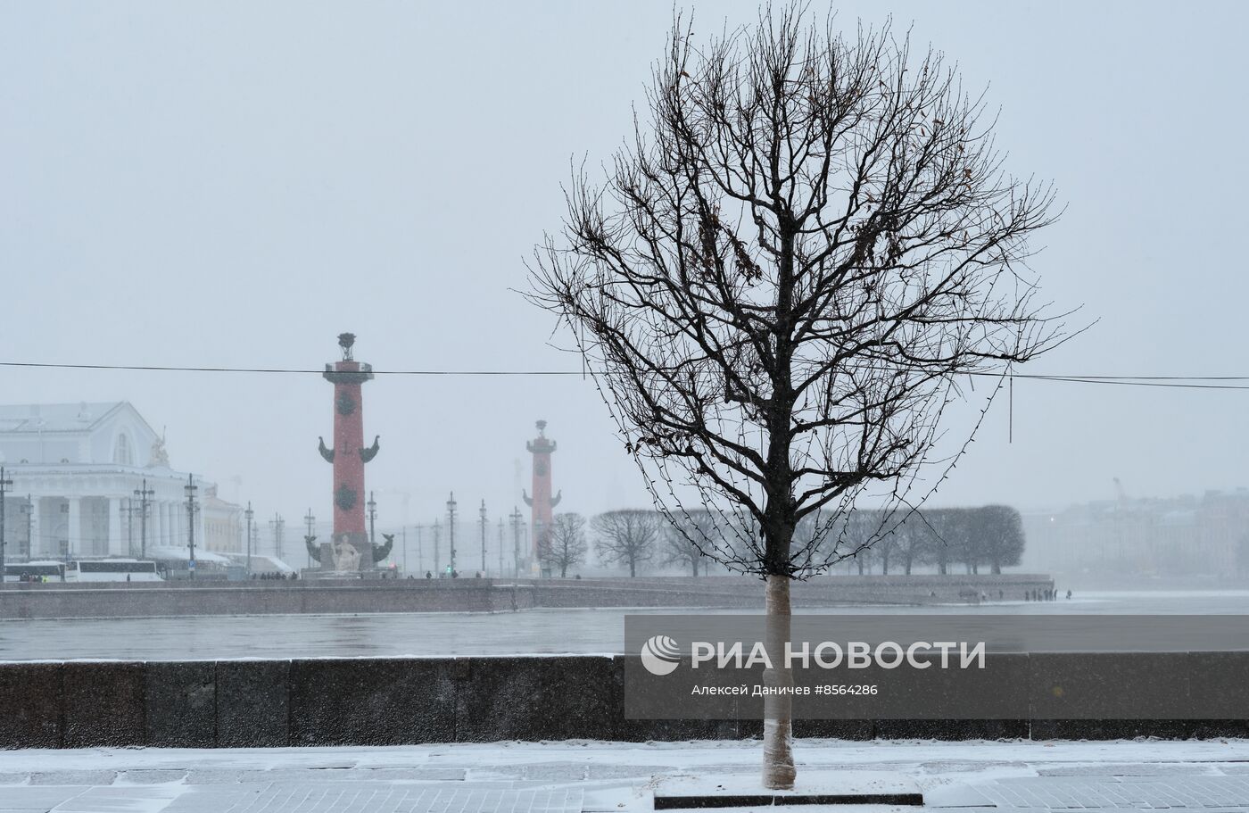 Виды зимнего Петербурга