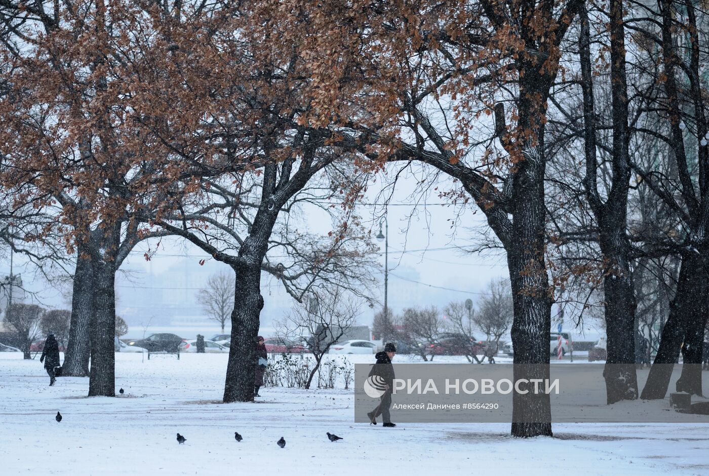 Виды зимнего Петербурга