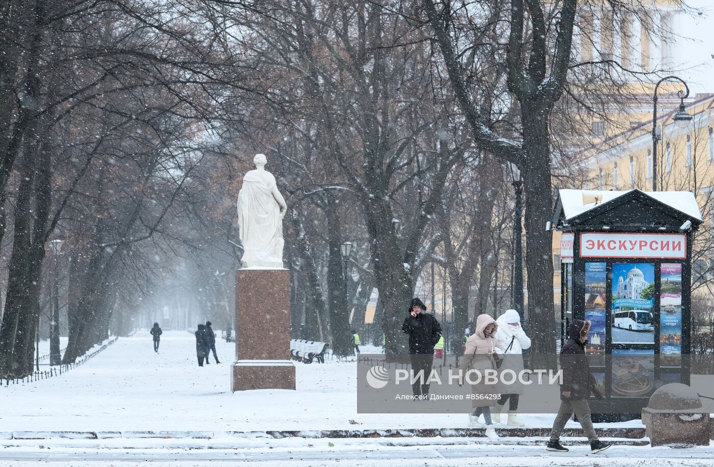 Виды зимнего Петербурга