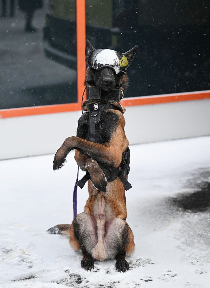 Работа выставки "Россия"