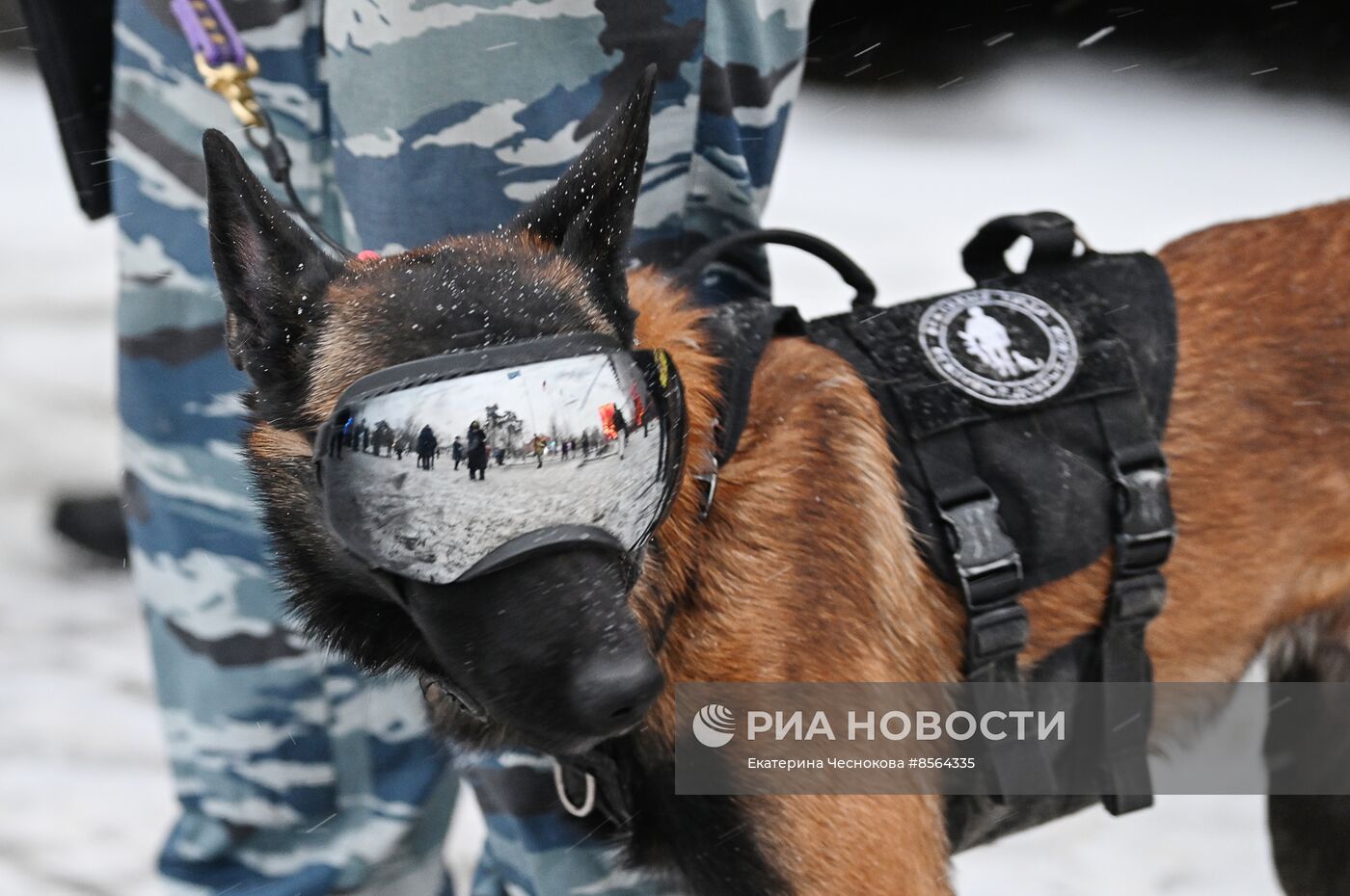 Работа выставки "Россия"