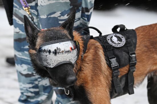 Работа выставки "Россия"