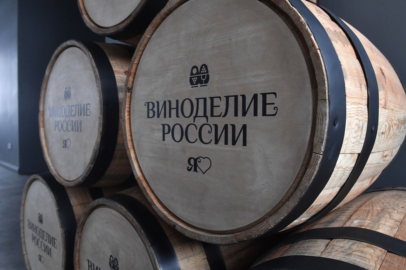 Выставка "Россия". Форсайт-сессия "Российское виноделие в перспективе. Взгляд визионеров"