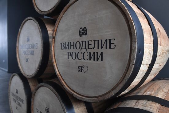 Выставка "Россия". Форсайт-сессия "Российское виноделие в перспективе. Взгляд визионеров"