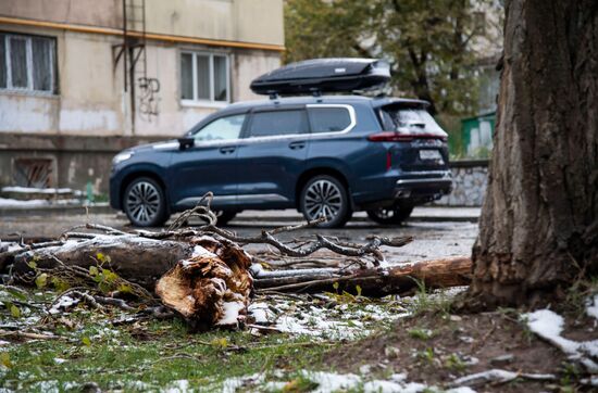 Последствия стихийного бедствия в Крыму 