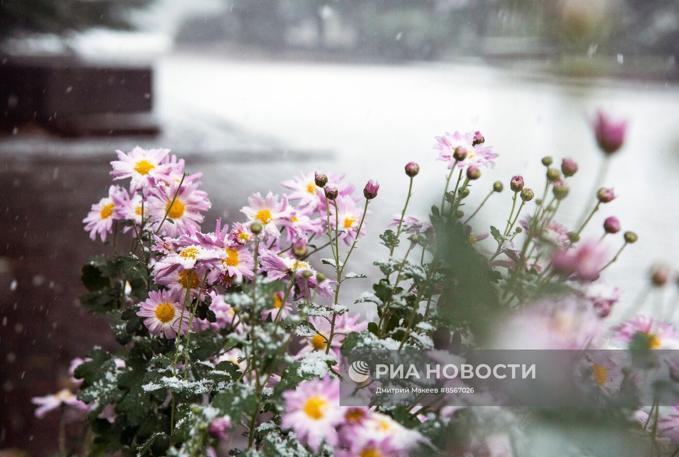 Последствия стихийного бедствия в Крыму
