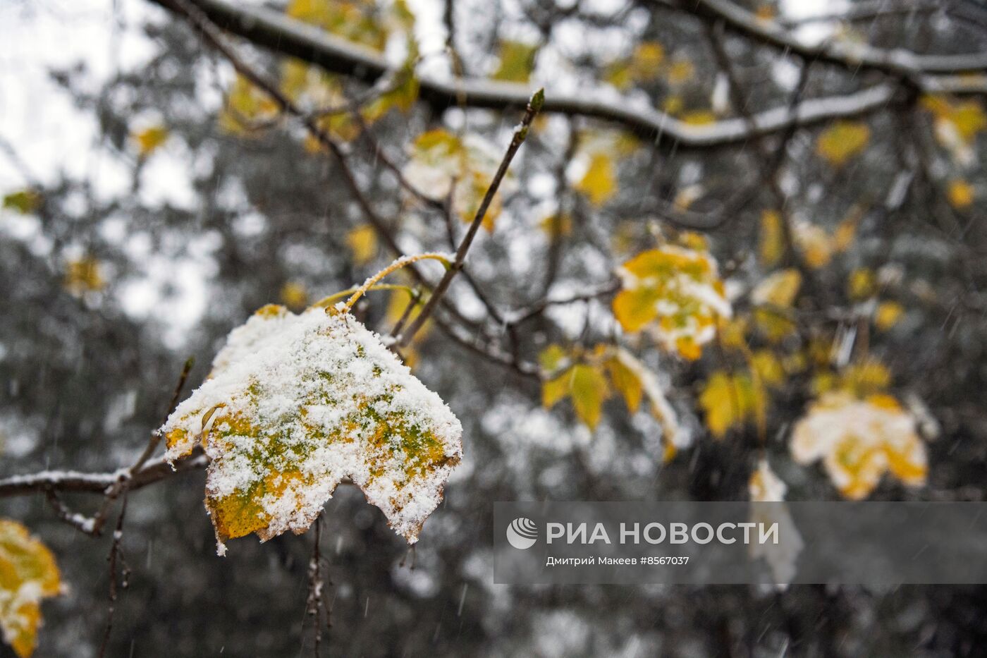 Последствия стихийного бедствия в Крыму