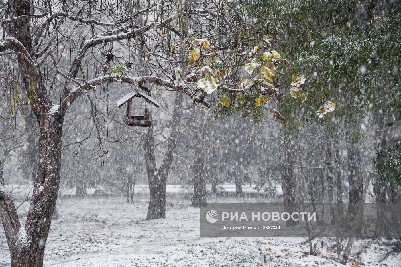 Последствия стихийного бедствия в Крыму
