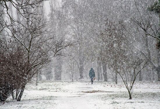 Последствия стихийного бедствия в Крыму 