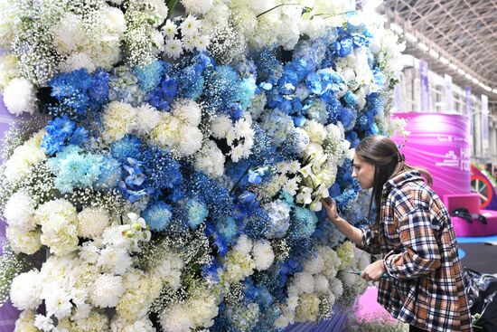 Подготовка к III Конгрессу молодых ученых