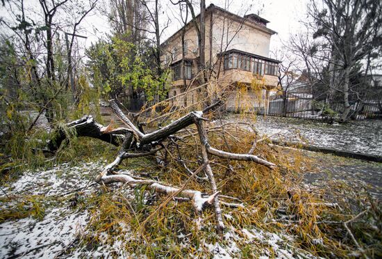 Последствия стихийного бедствия в Крыму 