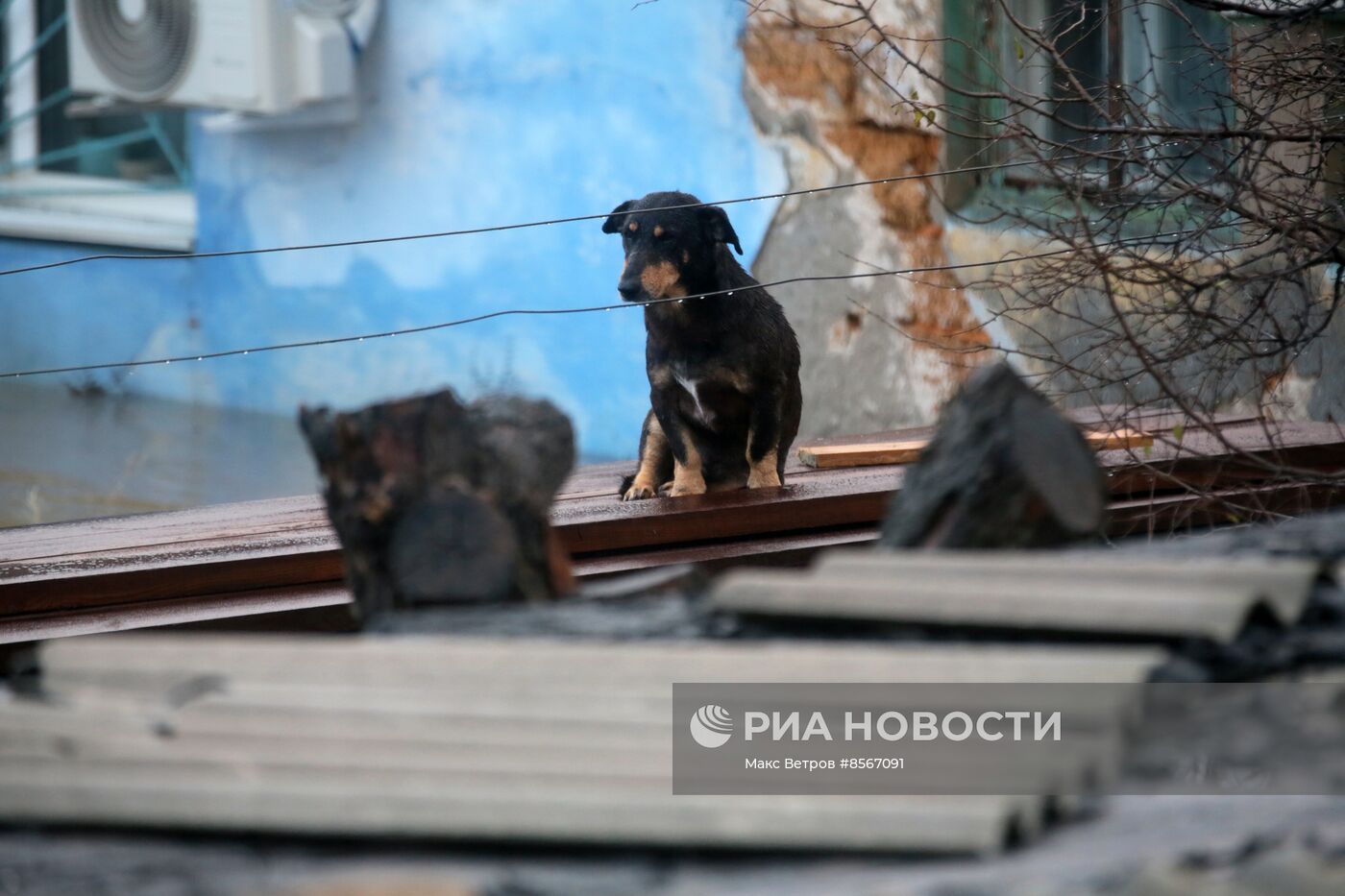 Последствия стихийного бедствия в Крыму