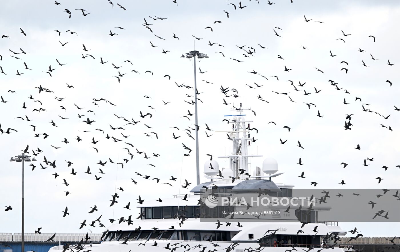 Шторм в Сочи