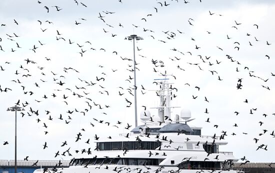 Шторм в Сочи