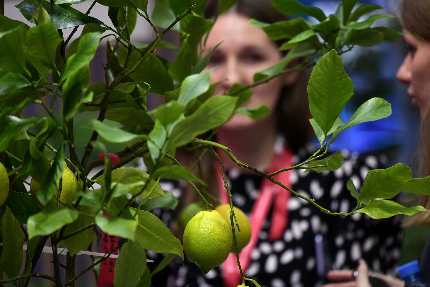 III КМУ-2023. Работа конгресса