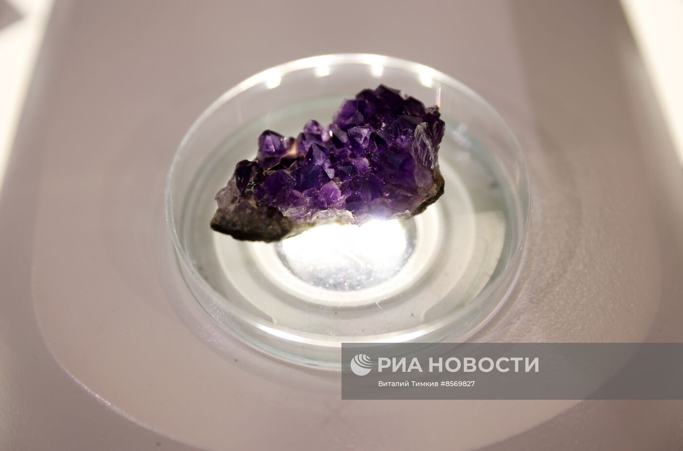 III КМУ-2023. Работа конгресса