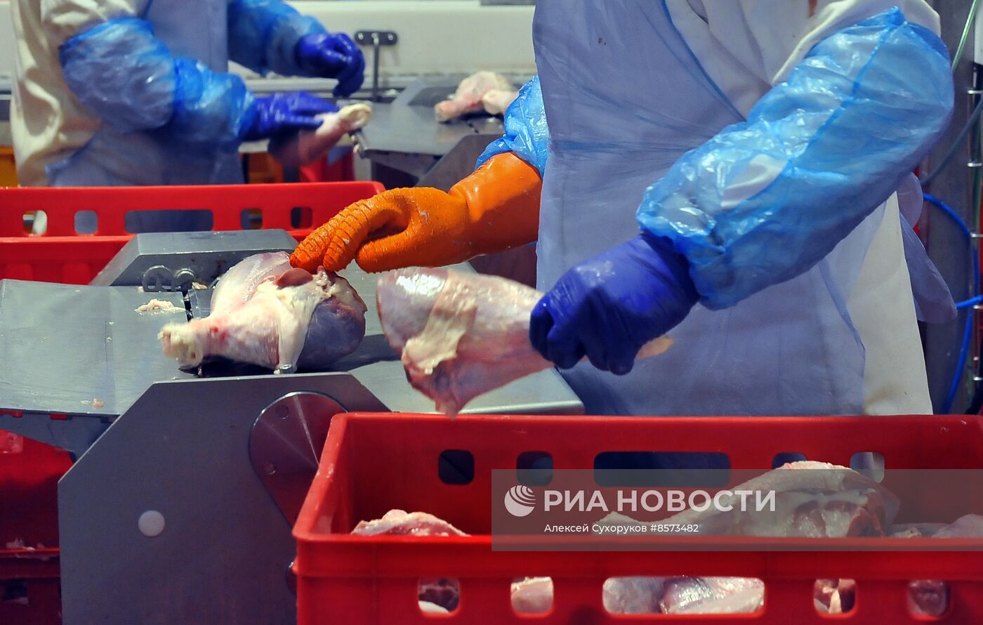 Изготовление мясной продукции на предприятии "Тамбовская индейка"