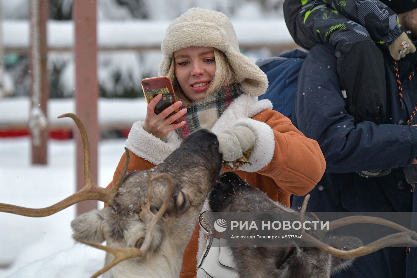 Ферма оленей "Лесная избушка" в Ленинградской области