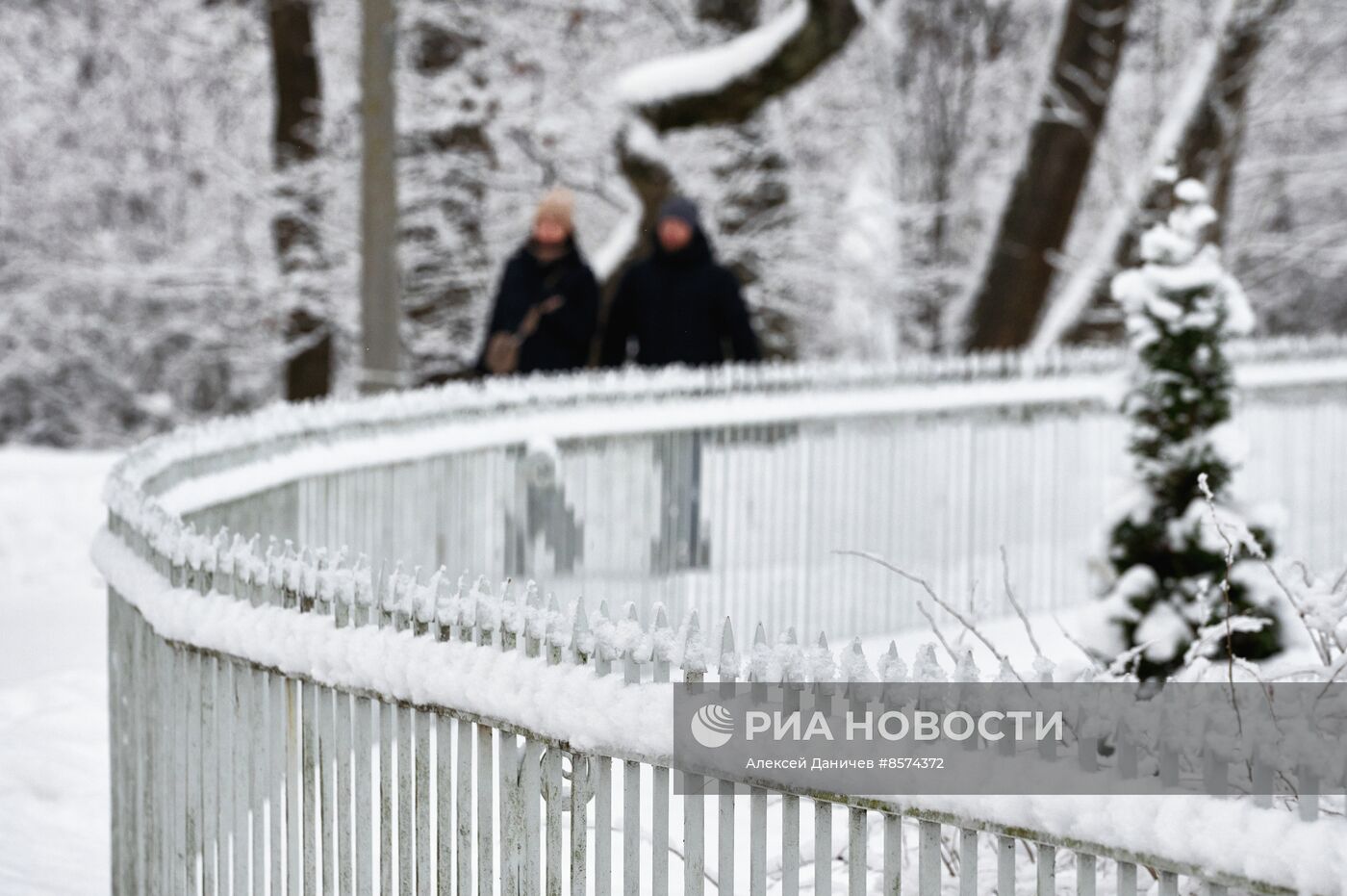 Зима в Санкт-Петербурге